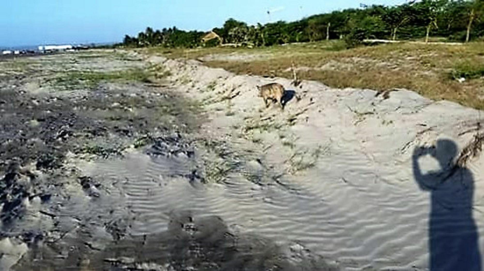 Manzanillo Beach Kartagena Zewnętrze zdjęcie